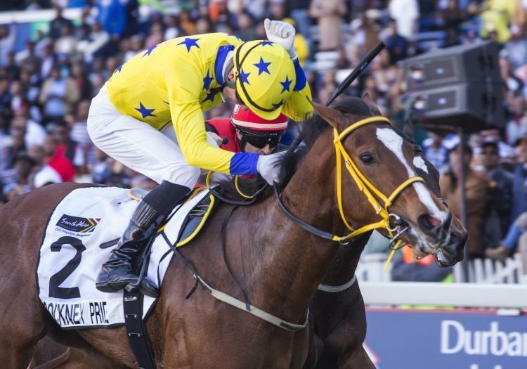 Spies Racing racehorse in action